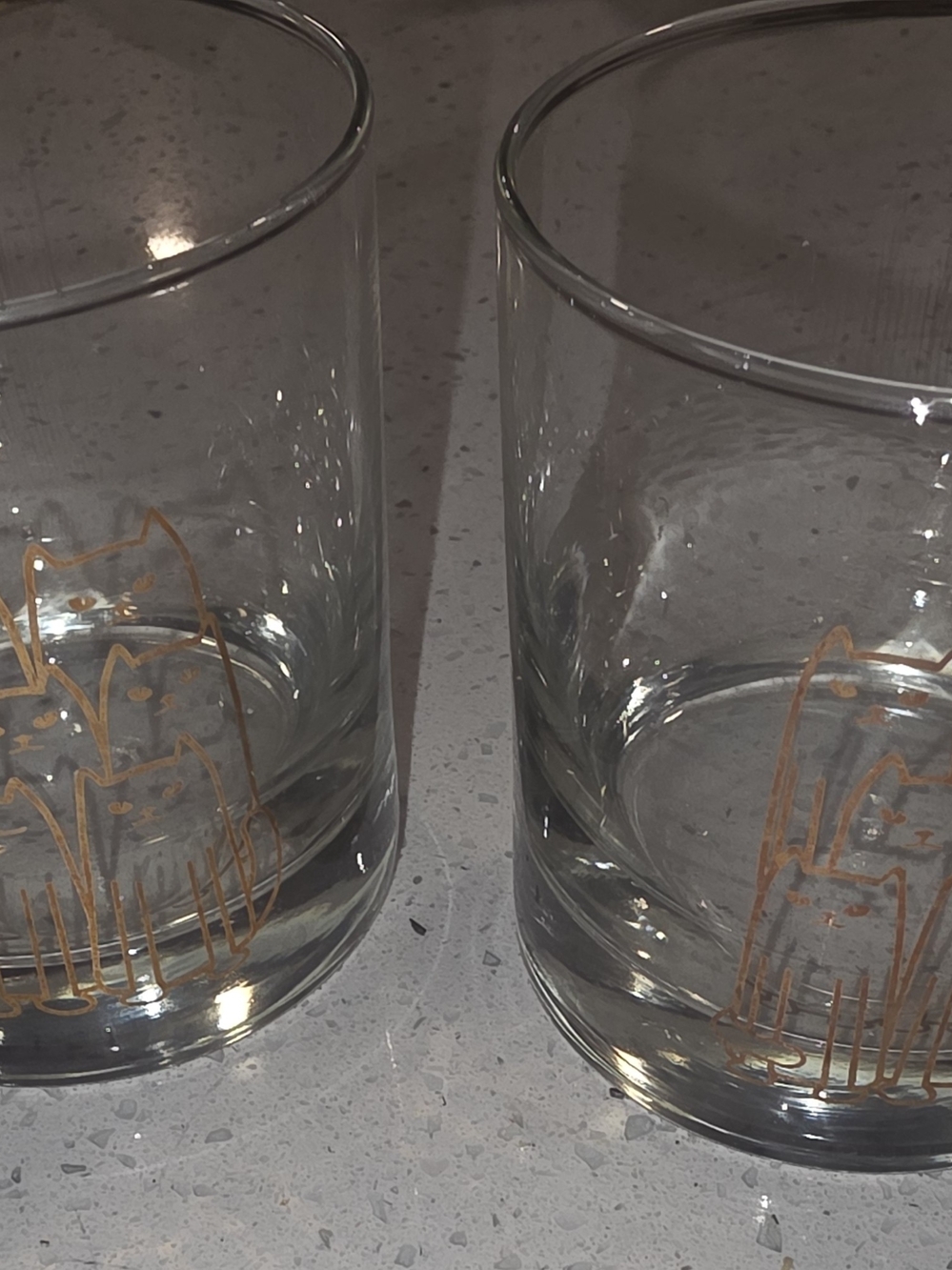 Counter Culture Cats Rocks Glasses - 2